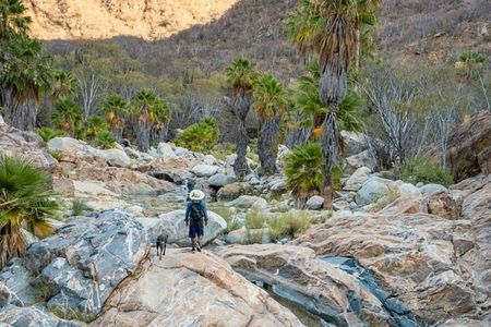 Hidden Gems of Sierra Laguna: El Triunfo and Natural Springs.