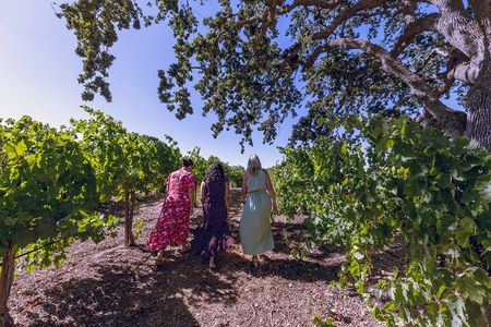 Wine Tasting Tour of Temecula Valley