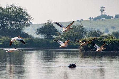  Lake Naivasha and Hells Gate Day trip daily