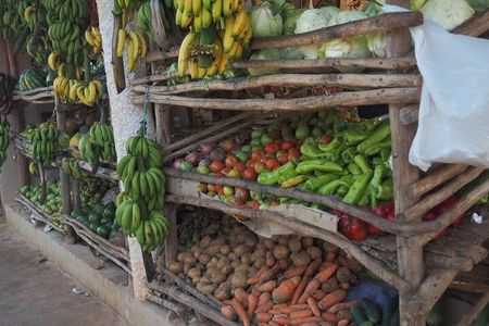 Half Day Tour in Samana with ATV Adventure