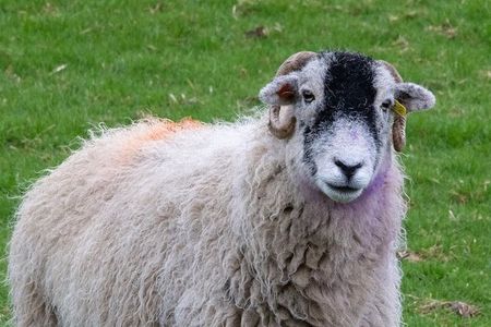 All Creatures Sereis Filming Location Tour Yorkshire Dales