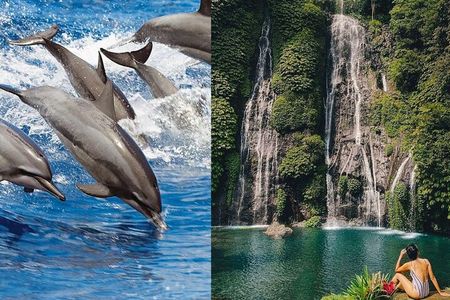 Bali Swim with Dolphin & Watching Sunrise, Gitgit Waterfall 