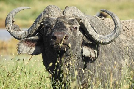 4 Day Private Tour in Tanzania