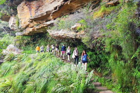 Blue Mountains Small Group Tour with Waterfall Walk & Fresh Lunch