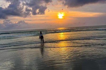 Seminyak beach Private Bali Horse Riding