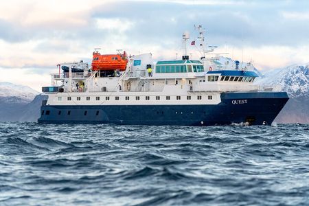 24hr Northern Lights & Whale Watching Cruise