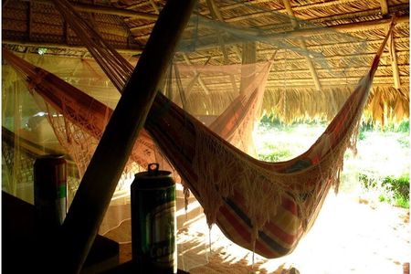 Camping and Cooking Classes in Primary Forest in Luang Prabang