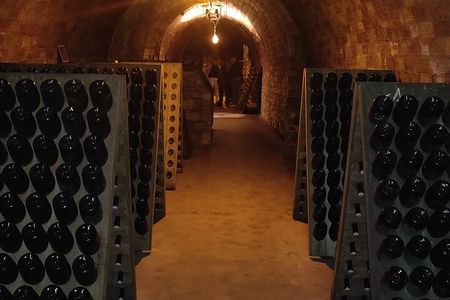 Winery visit and tasting tour in the vineyards