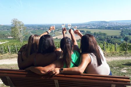 Champagne tasting, panoramic walk in the vineyards