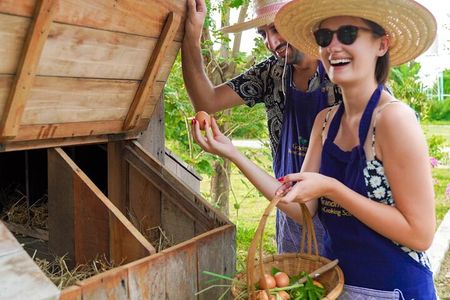 Morning Session - Thai Cooking Class in Traditional Pavilion with Beautiful Farm