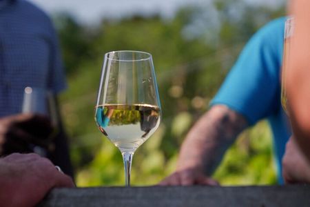 Jersey Premium Vineyard and Distillery Wine Tour and Tasting