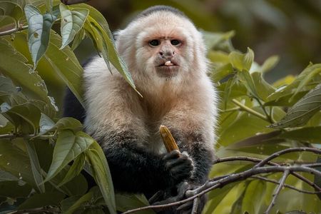 Full Day Nature Experience