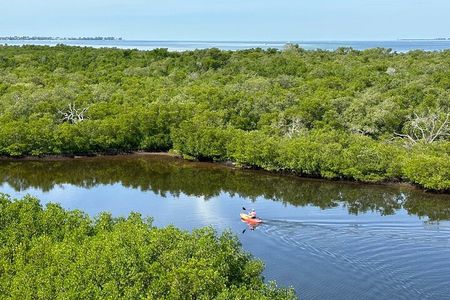 Robinson Preserve Mangrove Tour