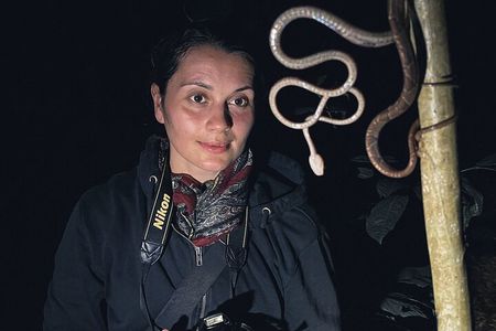 Secret Night Walk in Puerto Jimenez