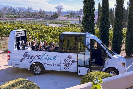 Temecula Valley Afternoon Wine Tour with Tastings and Cheeseboard