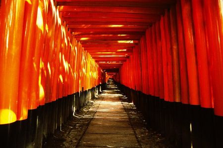 Private eBike Tour Exploring Fushimi with Torii Red Gate Ride