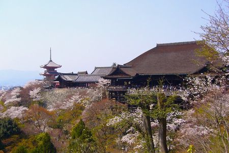 Kyoto in a Day by eBike: The Best Bits Tour (East Course)