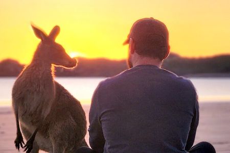 Sunrise with the kangaroos and wallabies