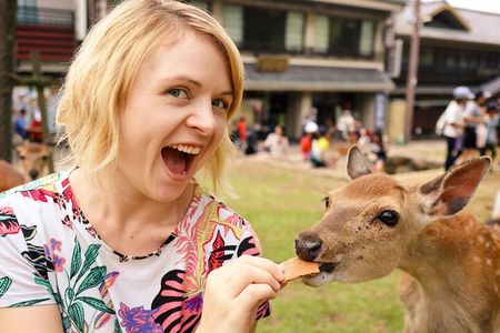 Nara, Todaiji Temple & Kuroshio Market Day BUS Tour from Osaka