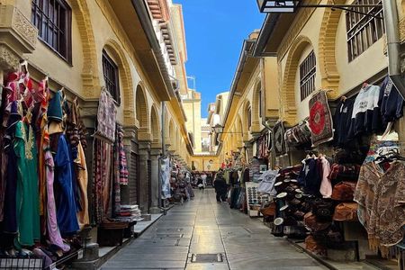 Granada Alhambra Private Tour from Motril Puerto