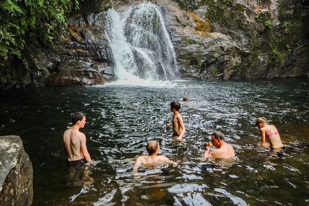 Sinharaja Rainforest Private Half Day Tour with Licensed Guide