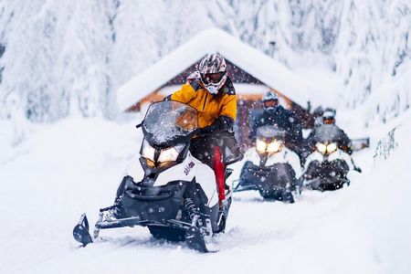3 Hour Wilderness Adventure Tour in Whistler