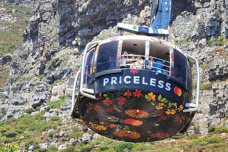 Private Tour: Table Mountain Boulder's Beach Penguin Cape Point