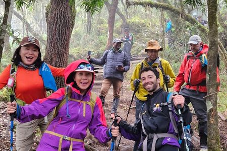 Kilimanjaro Northern Circuit Route 8 Days