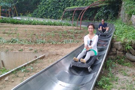 Mutianyu Great Wall Toboggan Private Trip English Speaking Driver