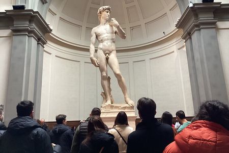 David & Accademia Gallery: 1-Hour Small Group Tour