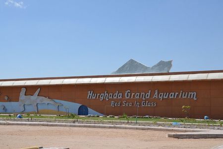 Hurghada Grand Aquarium Discovery Tour with Tickets & Transfers