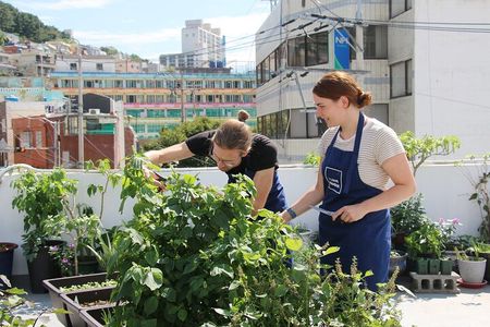 Vegan Friendly Korean Food Cooking Class