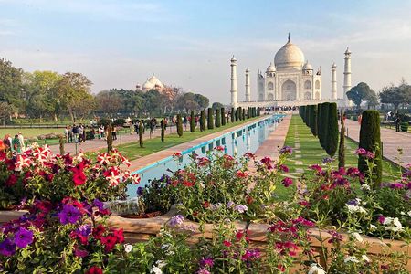 Skip The Line Sunrise Taj Mahal full day Guided Tour by car 