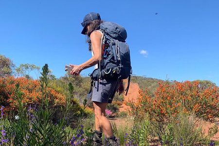 5 Days Walking with Wildflowers - Fitzgerald Biosphere