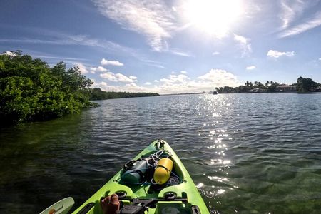 Adventure and Wildlife Watch Kayak Rentals in Sarasota