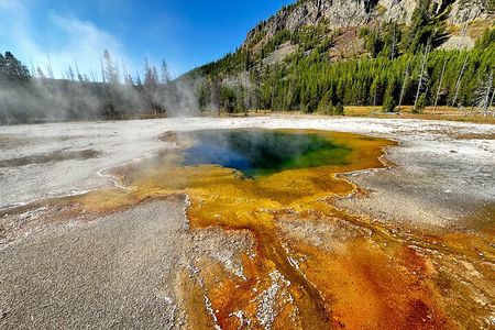 Yellowstone Lower Loop Full-Day Tour