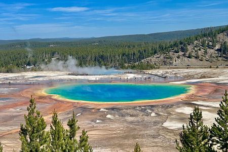 Yellowstone Lower Loop Full-Day Tour