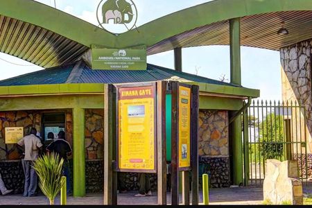 Overnight Amboseli National Park Safari from Nairobi