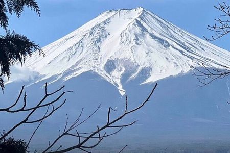 Mt. Fuji Day Trip from Tokyo with English Speaking Driver Guide