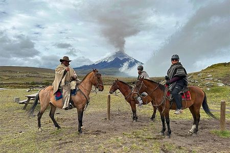 Cotopaxi National Park Horse Ride Full-Day Experience from Quito