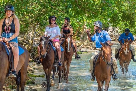 Horseback Riding City Tour + Rum and Chocolate Factory