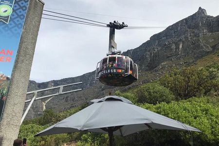 Table Mountain, Penguins and Cape Point Sharing GroupTour