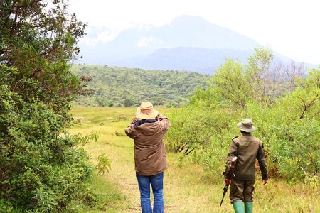 1 Day Arusha national park (Game drive and walking safari).