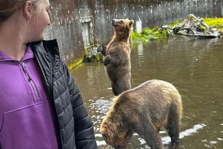 Sitka's Favorite Sites Private Land Tour for 6 (Meal option avail