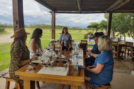 Luján Wine Tasting Guided Experience with Lunch