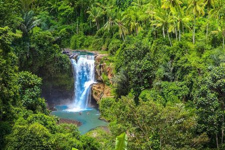 Discover the Best of Ubud – Private Guided Day Tour