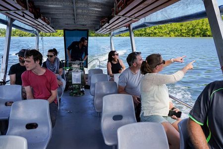 Morning Daintree Tour with River Cruise from Port Douglas