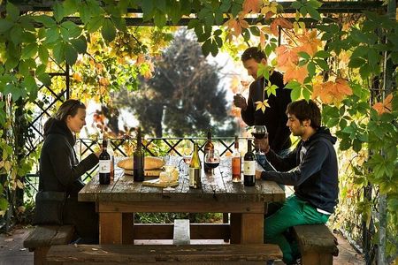 Organic Winery Tour and Tasting in Tuscany