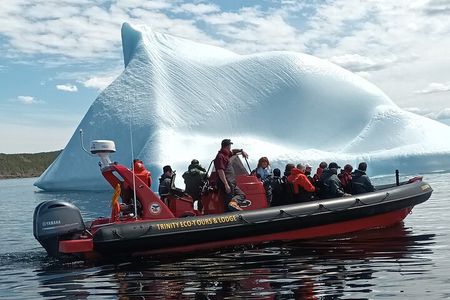 3 Hour Ocean Safari by Zodiac Boat -Whales & Icebergs seasonally