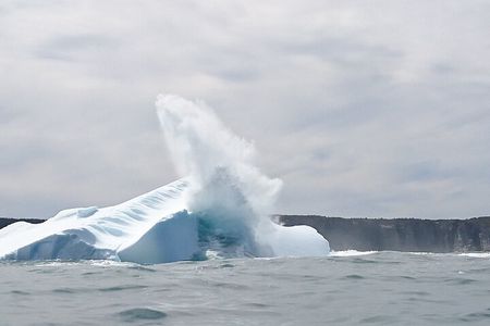 3 Hour Ocean Safari by Zodiac Boat -Whales & Icebergs seasonally